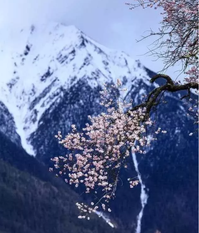 QQ截图20190122105855.png QQ截图20190122105855.png