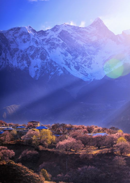QQ截图20190122110010.png