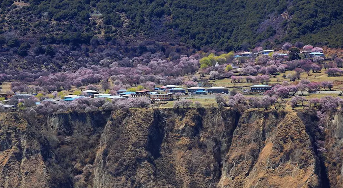 QQ截图20190122110027.png