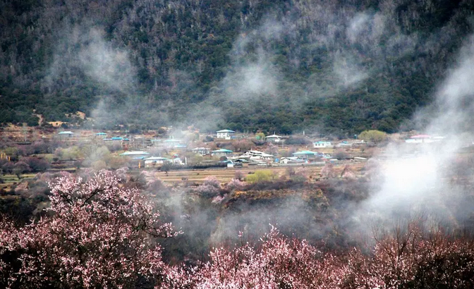 QQ截图20190122110019.png