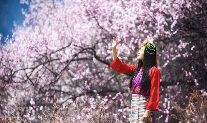 QQ截图20190122111641.png QQ截图20190122111641.png