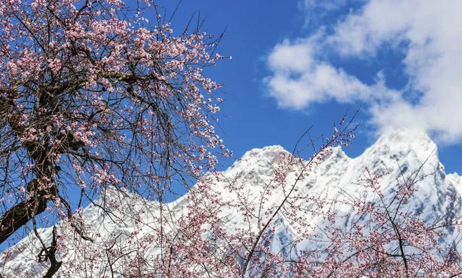 QQ截图20190122104711.png QQ截图20190122104711.png